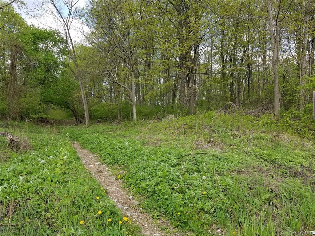 00 Saw Mill River Road