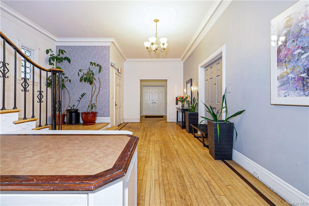 100 White Plains Road