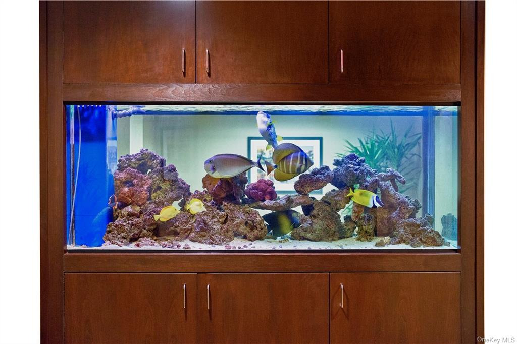 500 Mamaroneck Avenue